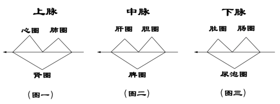 上,中,下脉图解图片